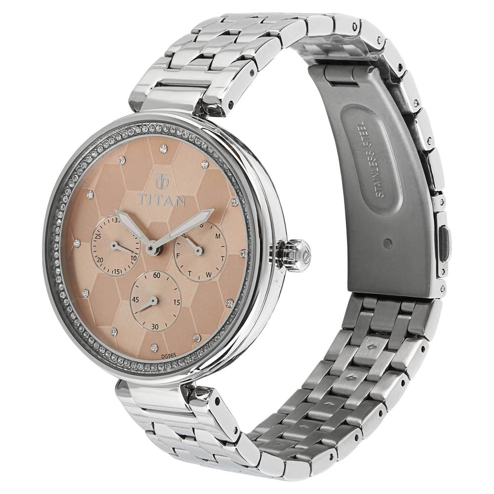 Titan 95059SM01F - Ram Prasad Agencies | The Watch Store